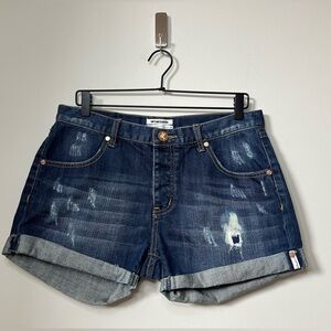 One x One Teaspoon Chargers Distressed Shorts Size 29